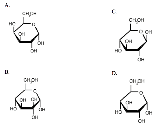 organic chemistry carbohydrates